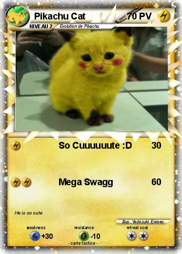 Pokemon Pikachu Cat
