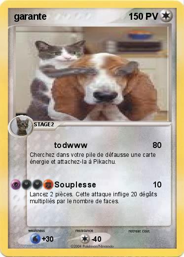 Pokemon garante