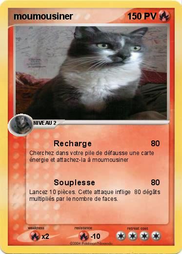 Pokemon moumousiner