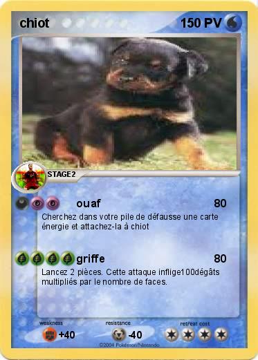 Pokemon chiot