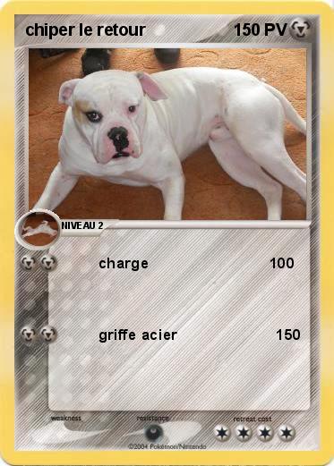 Pokemon chiper le retour