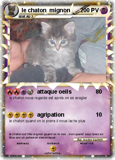 Pokemon le chaton  mignon