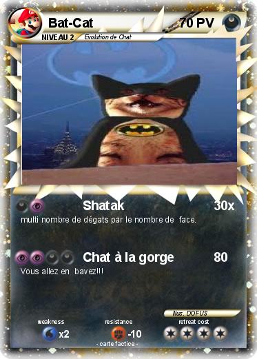 Pokemon Bat-Cat