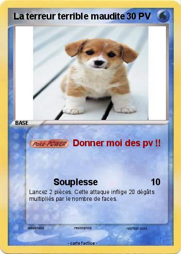 Pokemon La terreur terrible maudite