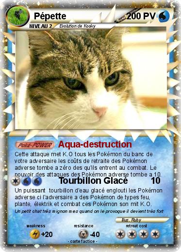 Pokemon Pépette