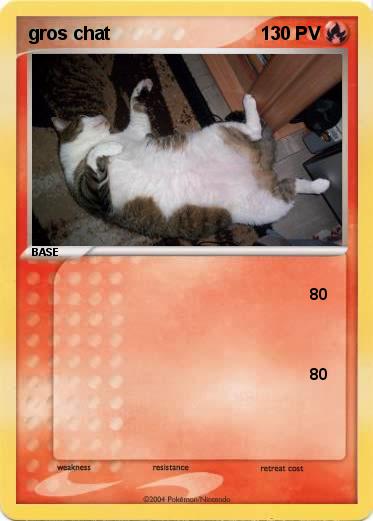 Pokemon gros chat