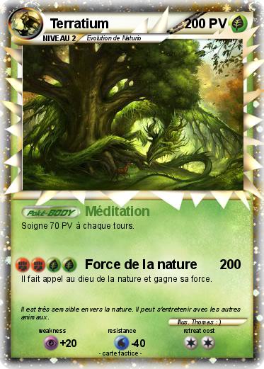 Pokemon Terratium