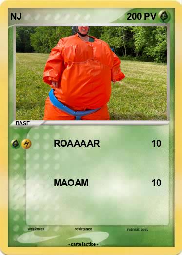Pokemon NJ
