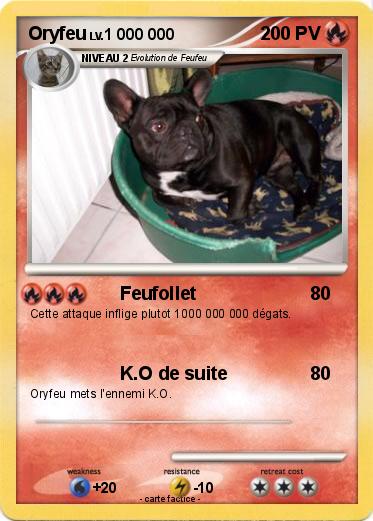 Pokemon Oryfeu