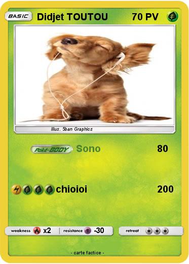Pokemon Didjet TOUTOU