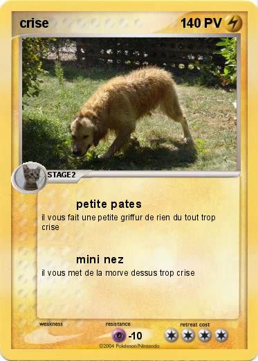 Pokemon crise