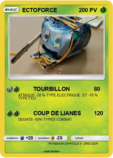 Pokemon ECTOFORCE