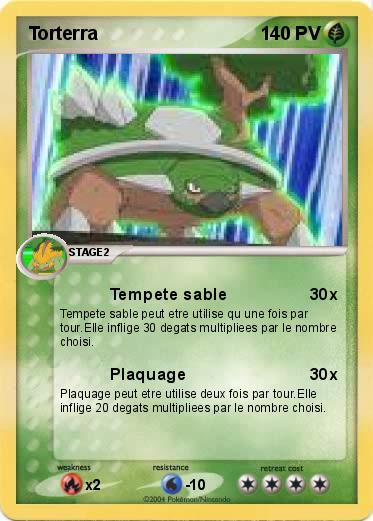 Pokemon Torterra