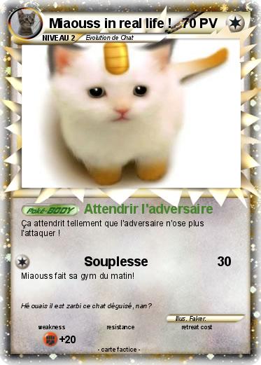 Pokemon Miaouss in real life !