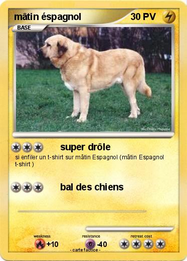 Pokemon mâtin éspagnol