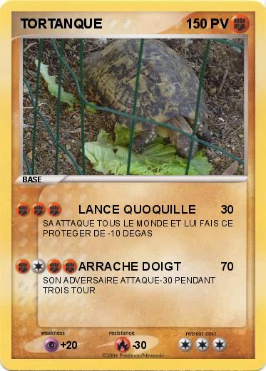 Pokemon TORTANQUE