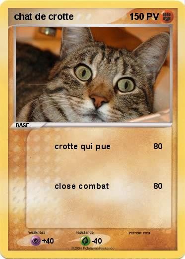 Pokemon chat de crotte