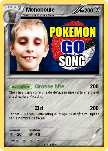 Pokemon Monoboule