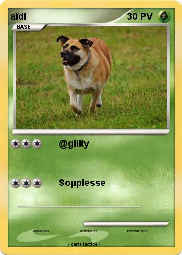 Pokemon aïdi