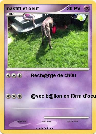 Pokemon mastiff et oeuf