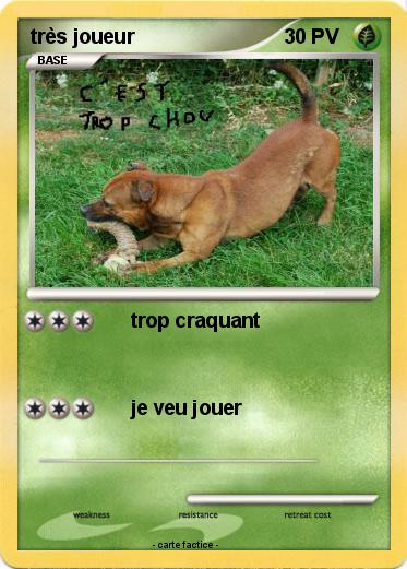Pokemon très joueur