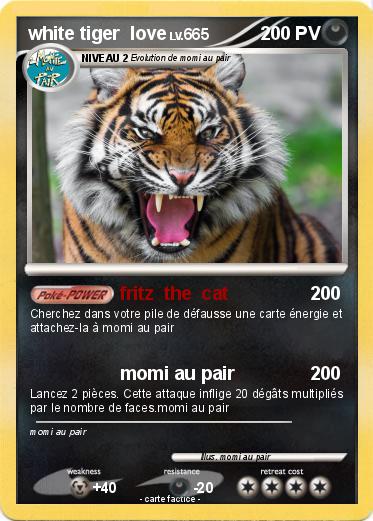 Pokemon white tiger  love