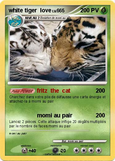 Pokemon white tiger  love