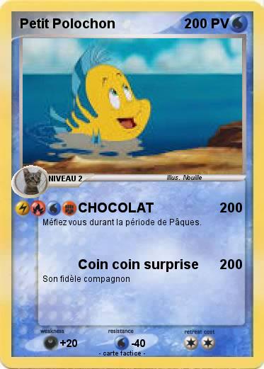 Pokemon Petit Polochon