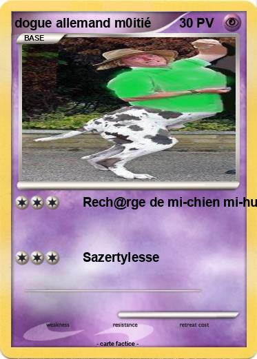 Pokemon dogue allemand m0itié