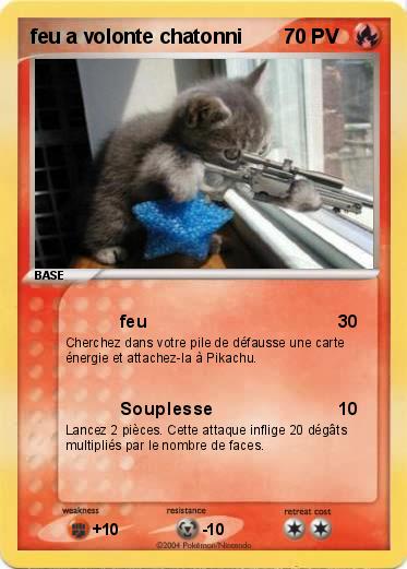 Pokemon feu a volonte chatonni