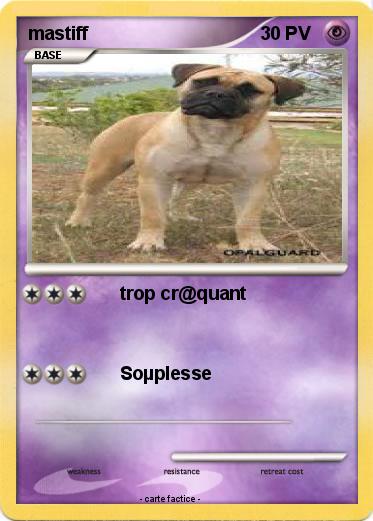 Pokemon mastiff