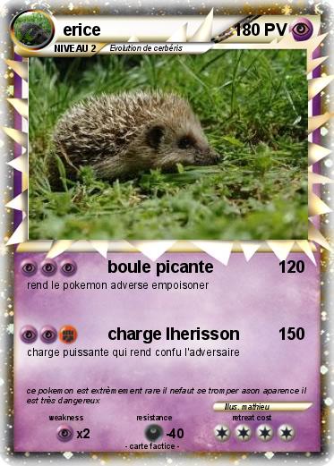 Pokemon erice