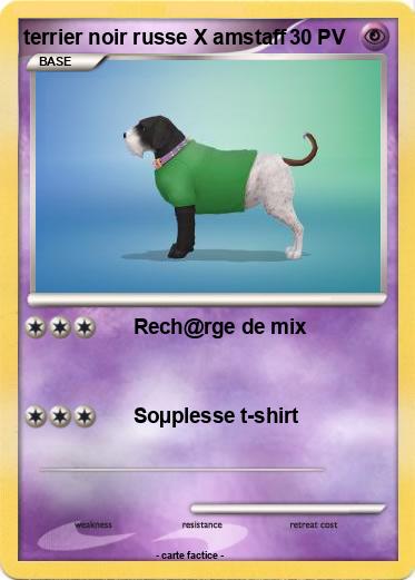 Pokemon terrier noir russe X amstaff