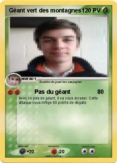 Pokemon Géant vert des montagnes
