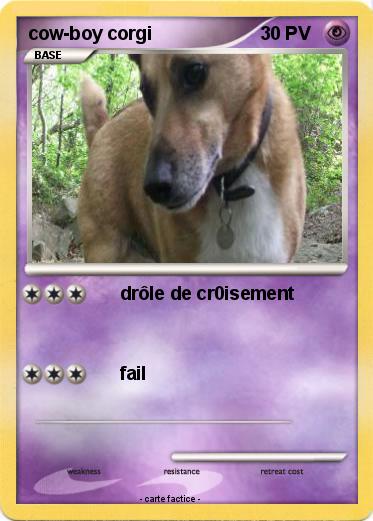 Pokemon cow-boy corgi