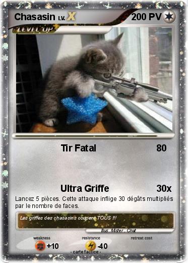 Pokemon Chasasin