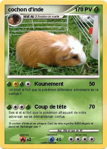 Pokemon cochon d'inde