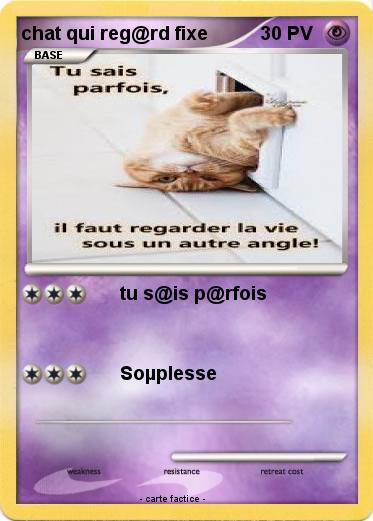 Pokemon chat qui reg@rd fixe