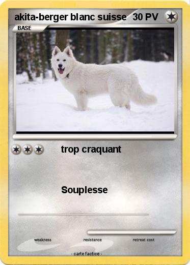 Pokemon akita-berger blanc suisse