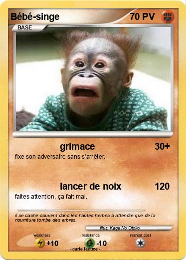 Pokemon Bébé-singe