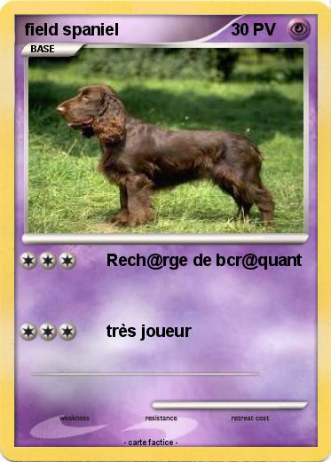 Pokemon field spaniel