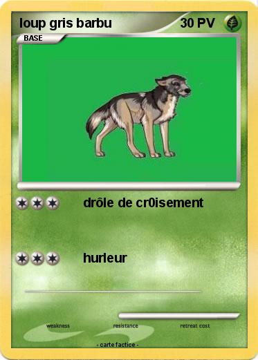 Pokemon loup gris barbu