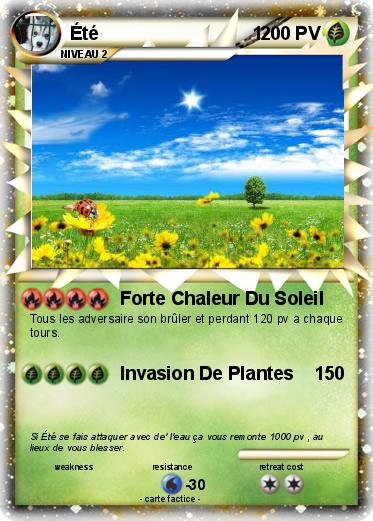 Pokemon Été                              1