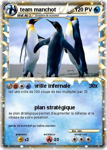 Pokemon team manchot