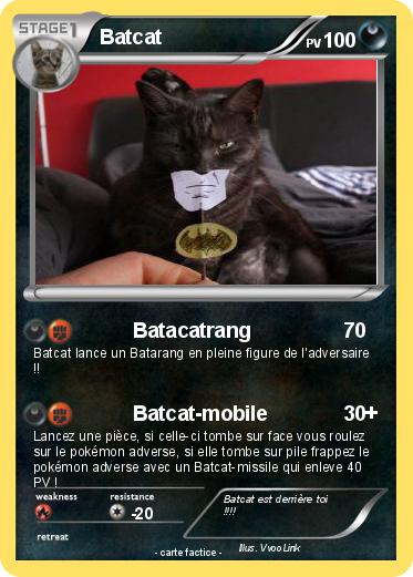Pokemon Batcat
