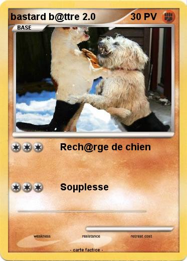 Pokemon bastard b@ttre 2.0