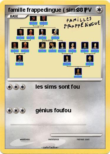 Pokemon famille frappedingue ( sims 3 )