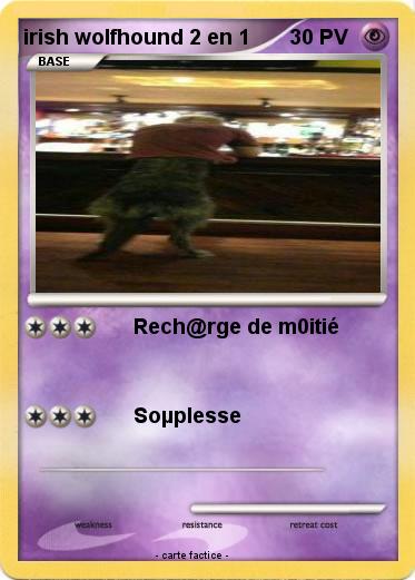 Pokemon irish wolfhound 2 en 1