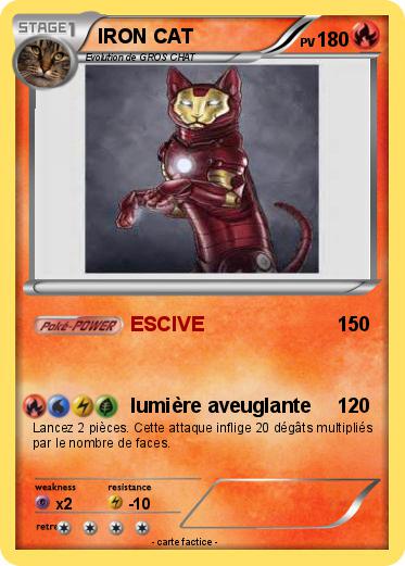 Pokemon IRON CAT