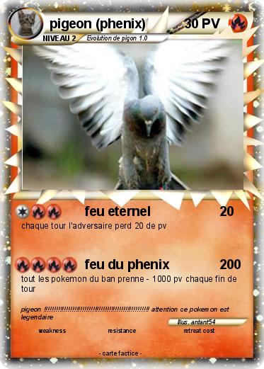 Pokemon pigeon (phenix)